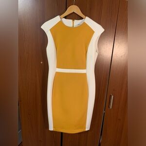 Calvin Klein dress